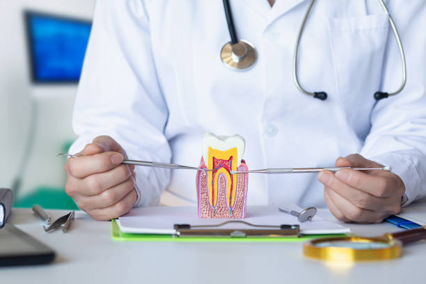 Best Urgent Care for Lost Fillings or Crowns in Conway, PA